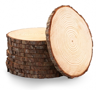 Дървена шайба за декорация, ф13см /Sa/