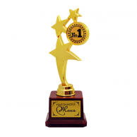 Купа Звезда 