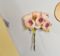 Цветя божури, цвят кремаво лилав с лилави тичинки, 6 броя /Sa/